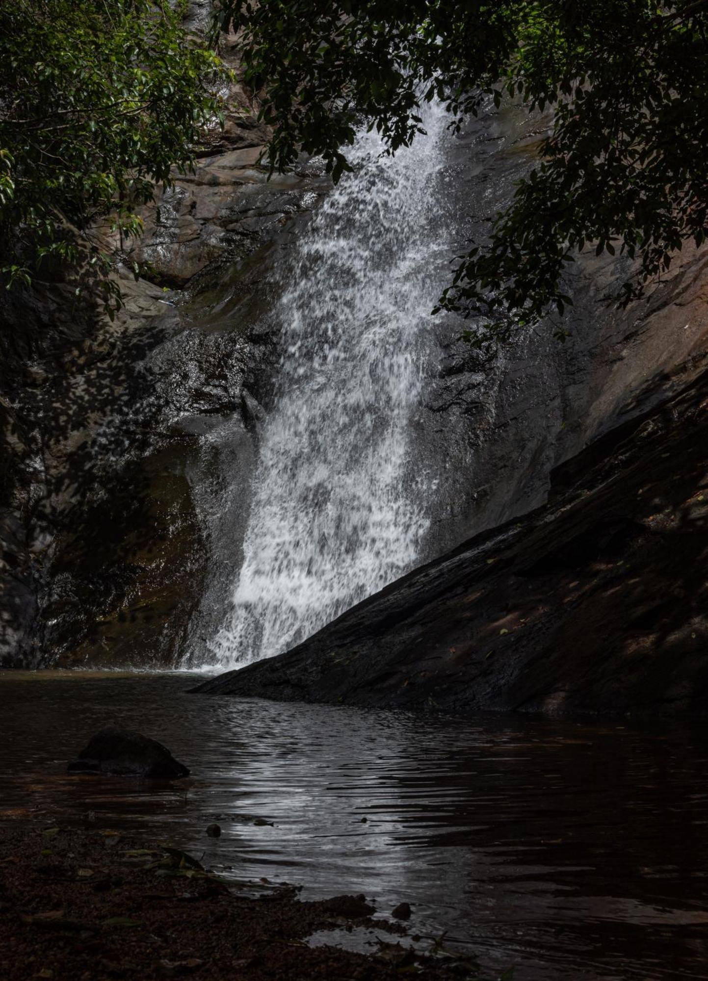 Aruvikuzhy Waterfalls Villa Kozhancheri ภายนอก รูปภาพ